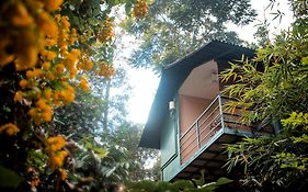 Edens Munnar